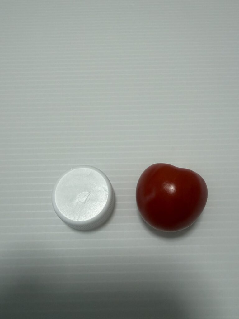 ミニトマトとペットボトルキャップの大きさ比較