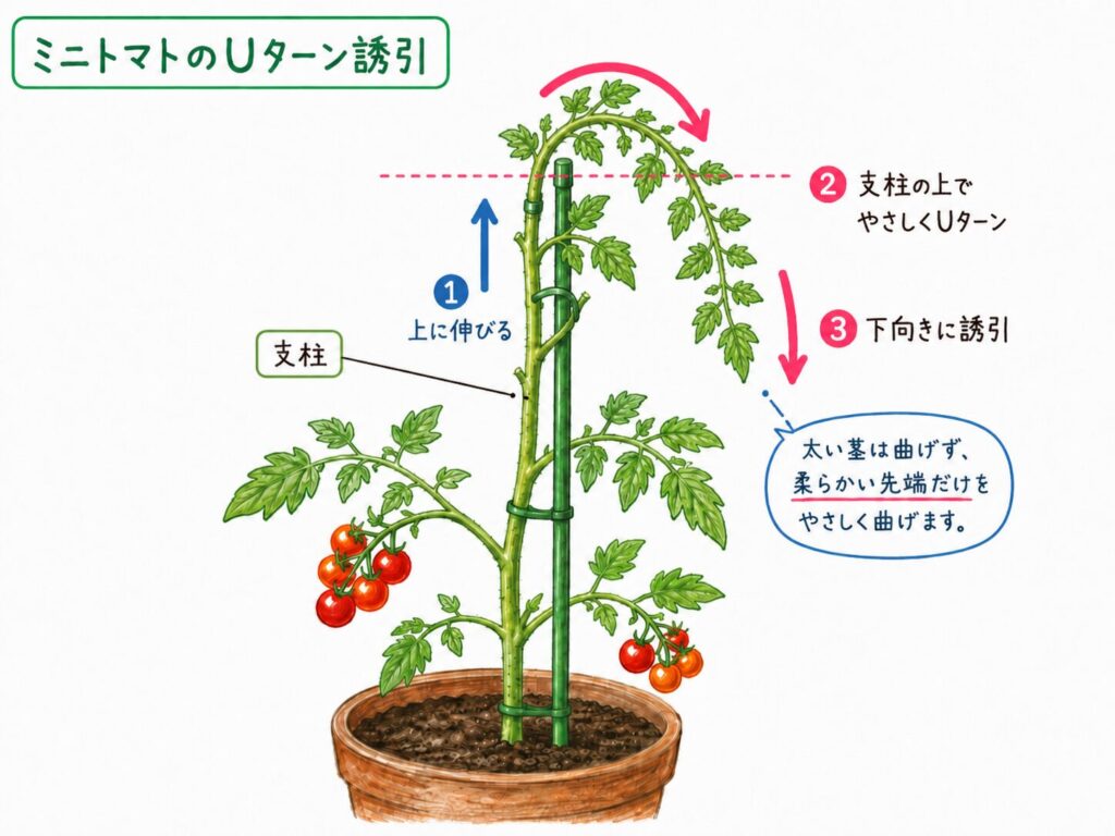 Uターン誘引