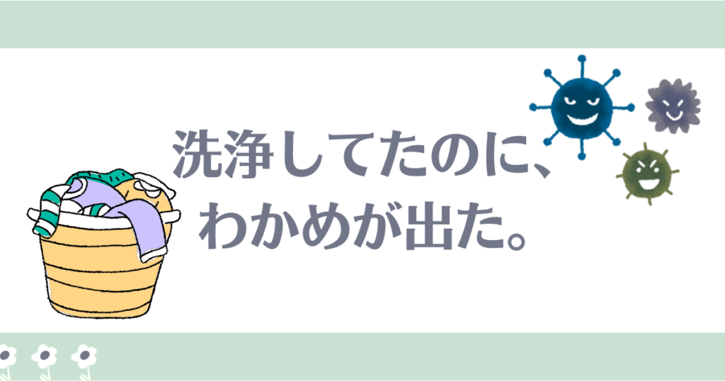洗濯槽洗浄をしてたのにワカメ出た