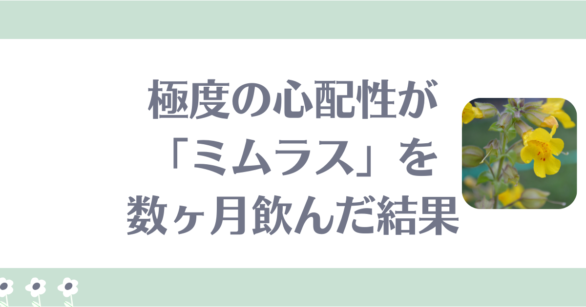 極度の心配性の私がミムラスを飲んだ体験談