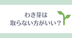 ミニトマトのわき芽を取らない方がいい？