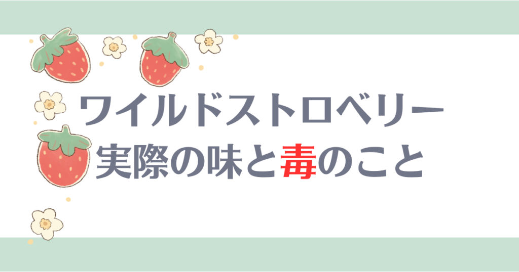 ワイルドストロベリー実際の味と毒について