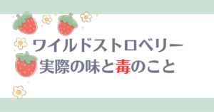 ワイルドストロベリー実際の味と毒について