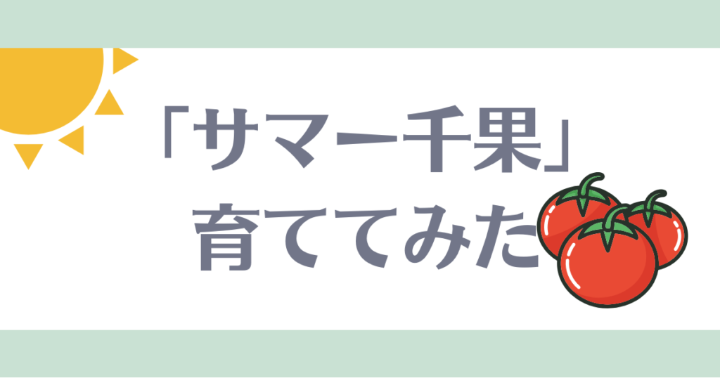 サマー千果育ててみた