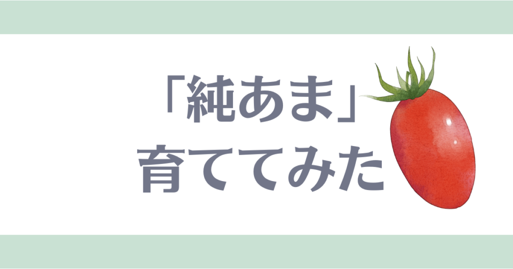純あま育ててみた