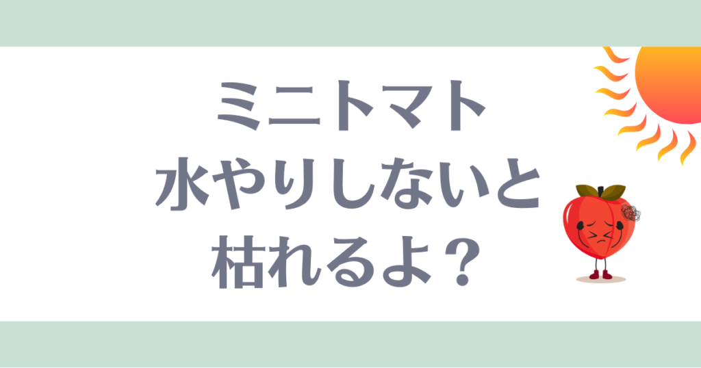 ミニトマト、水やりしないと枯れる