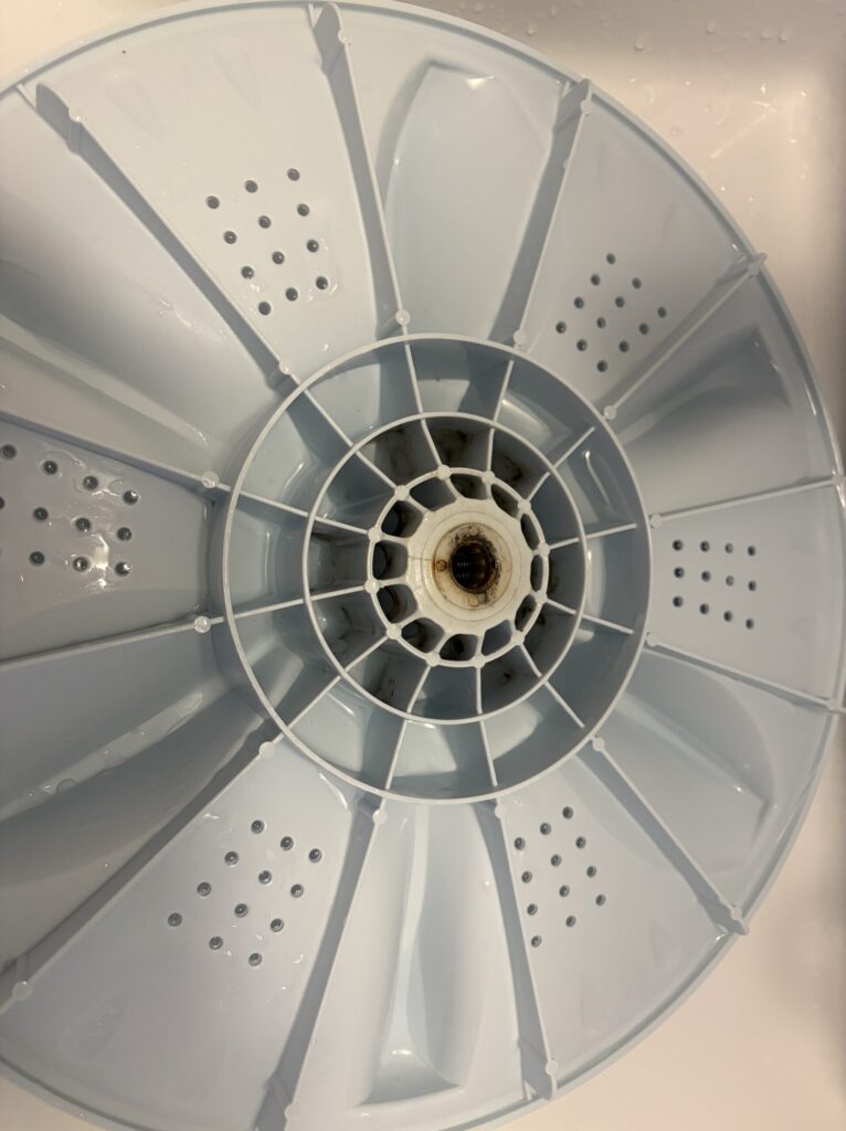 パルセーター裏