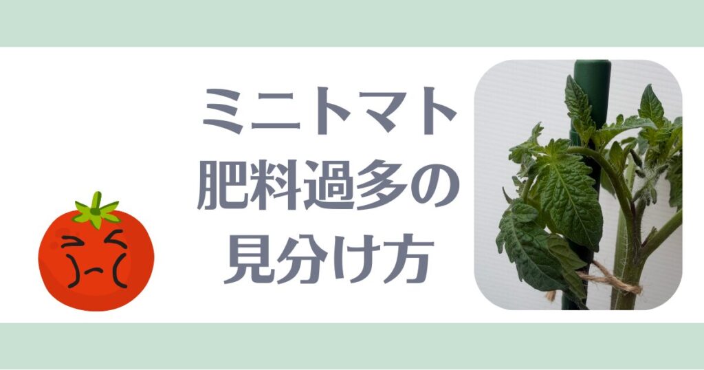 ミニトマト肥料過多見分け方